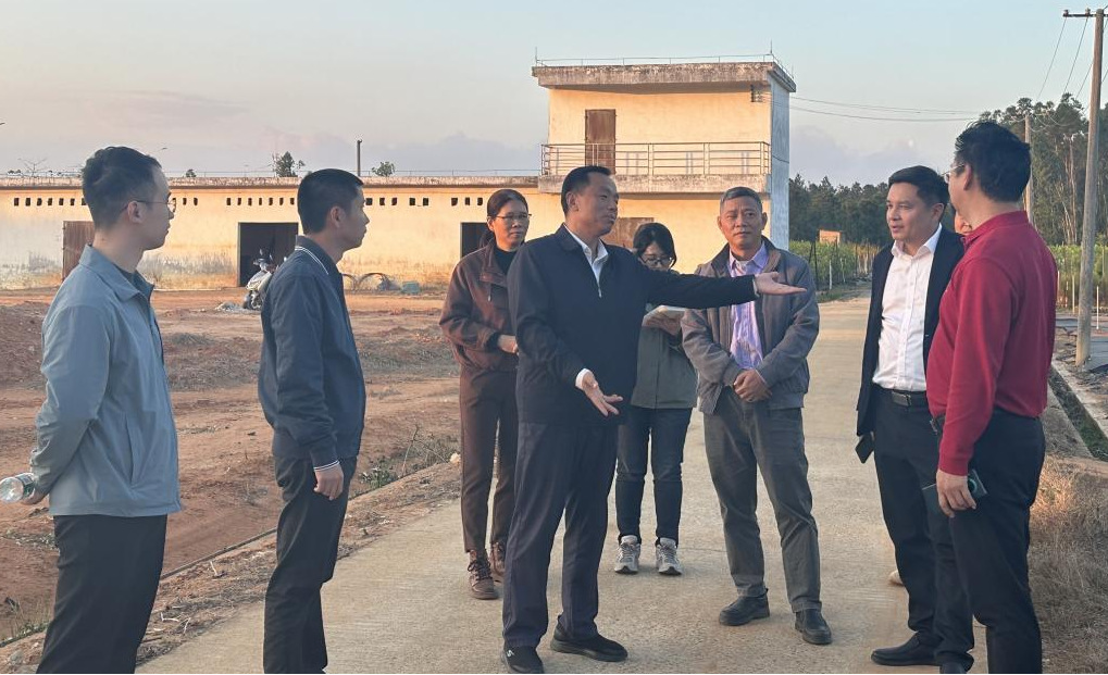 ��ʵ��ľ���� �ƽ�����տ��--���ʽ�������ҵ���ַ�������